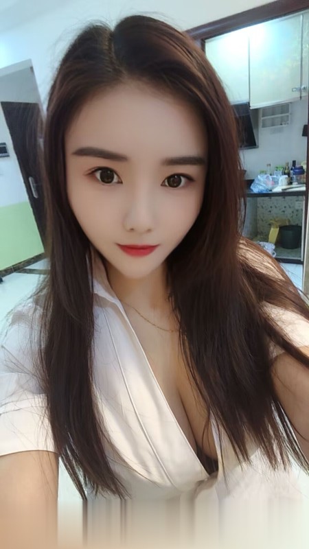 广州增城新塘姐姐燕子